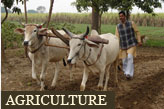 Janhit Gallery Image 1
